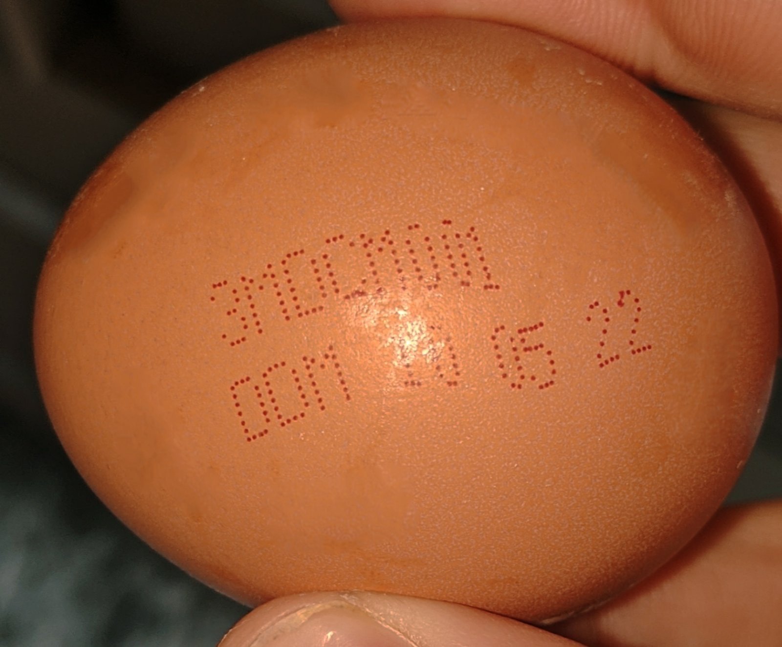 (ФОТО) Нашли сальмонеллу. В Молдове из продажи изымают партию куриных яиц