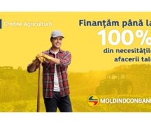 Creditele agro de la Moldindconbank – finanțare avantajoasă pentru agricultură de succes