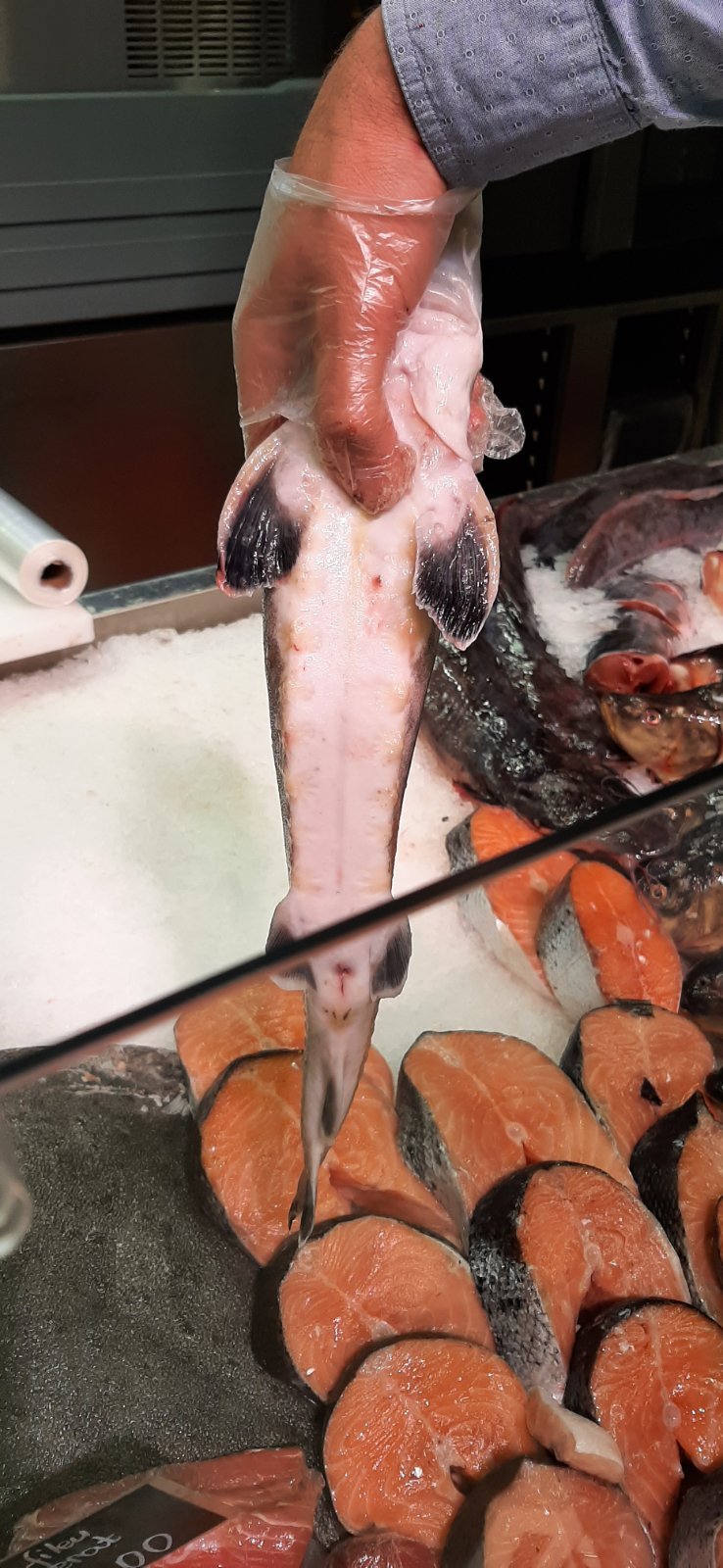 FOTO ANSA a retras din magazine mai multe loturi de pește proaspăt și congelat. Ce a depistat