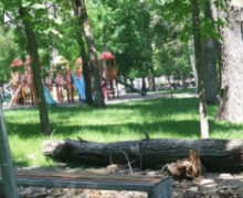 Directorul de la „Spații Verzi” a fost suspendat din funcție, după moartea fetiței din parcul Alunelul
