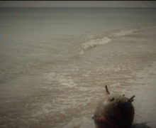 (ВИДЕО) В Одесской области на пляж вынесло морскую мину