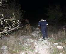 Doi minori din Șoldănești s-au rătăcit după ce au plecat de acasă „pentru a-și face o colibă în pădure”