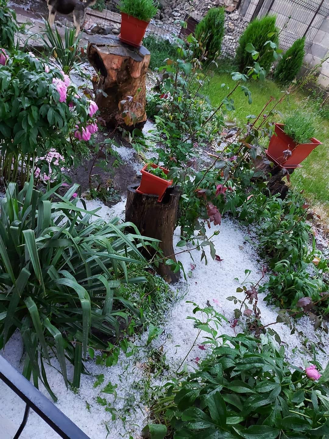 FOTO Ploaie cu grindină în raionul Soroca. Oamenii au cerut ajutorul salvatorilor