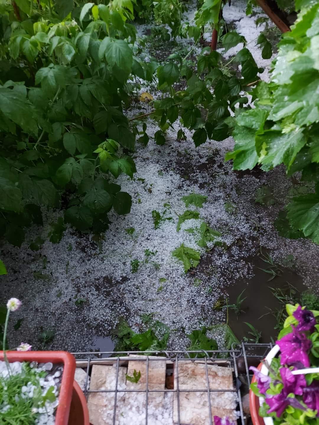 FOTO Ploaie cu grindină în raionul Soroca. Oamenii au cerut ajutorul salvatorilor