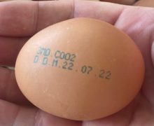 В Молдове изымают из продажи партию куриных яиц. Что случилось?