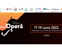 Trei seri de concerte într-un festival: DescOPERĂ ediția aniversară a celui mai important eveniment de muzică clasică în aer liber