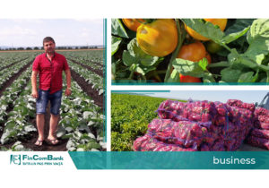 (video) Antreprenorul Dermenji Andrei și 50 de hectare de culturi legumicole în satul Negureni