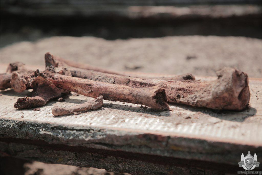 FOTO Rămășițele a 200 de oameni, descoperite în două gropi comune, la Tiraspol
