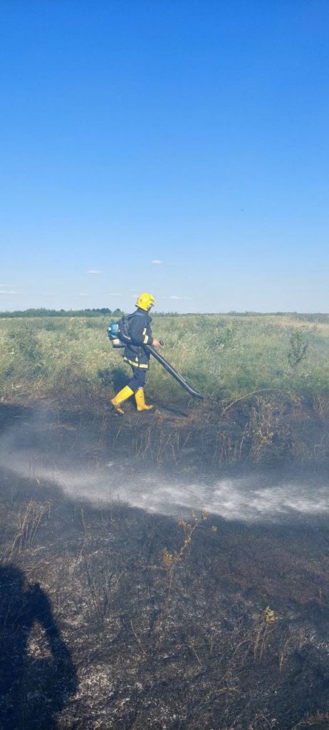 (FOTO) Anenii Noi: Un pui de căprioară a fost salvat dintr-un incendiu