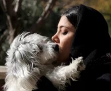 «Символы вестернизации». Власти Ирана хотят ограничить владение домашними животными