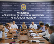 В Молдове сельхозпроизводители требуют повысить цены на сахарную свеклу