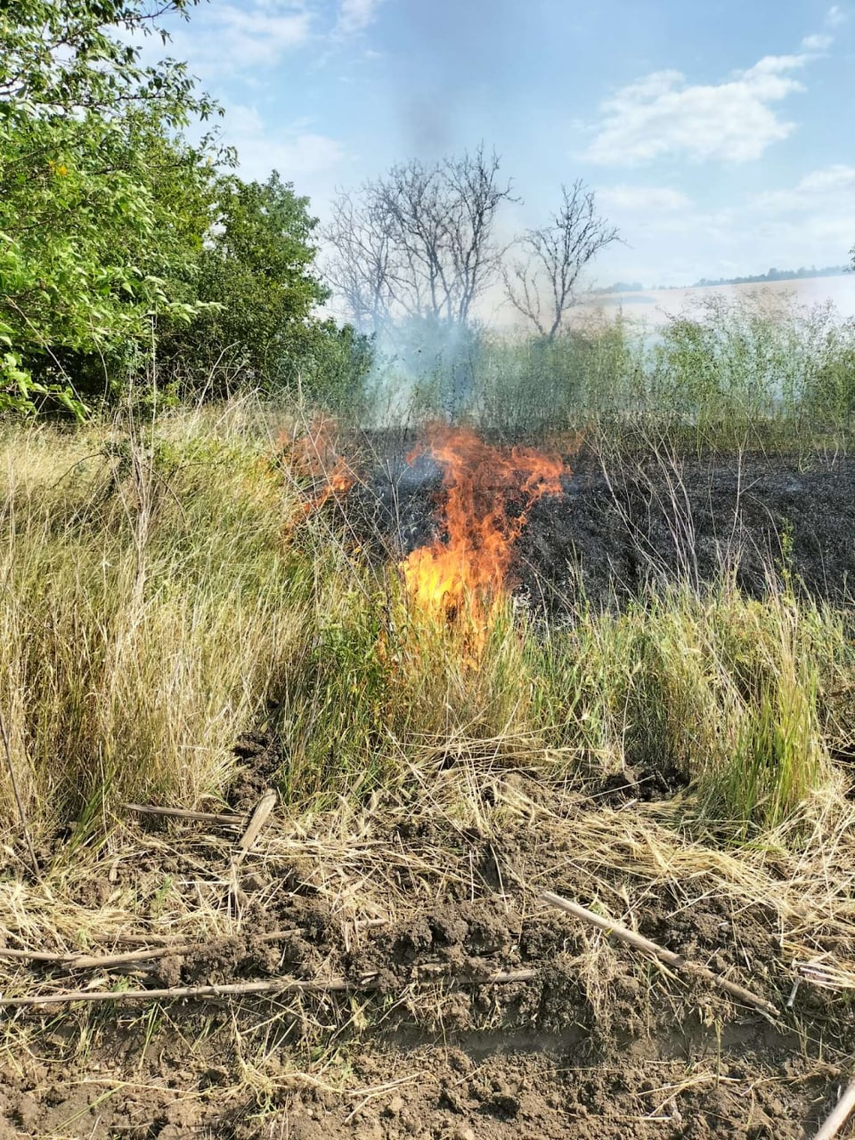 FOTO Un lan cu culturi agricole, cuprins de flăcări la Anenii Noi. Pompierii au avut nevoie de ajutorul localnicilor 