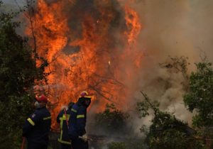 В Молдове объявили желтый код пожарной опасности
