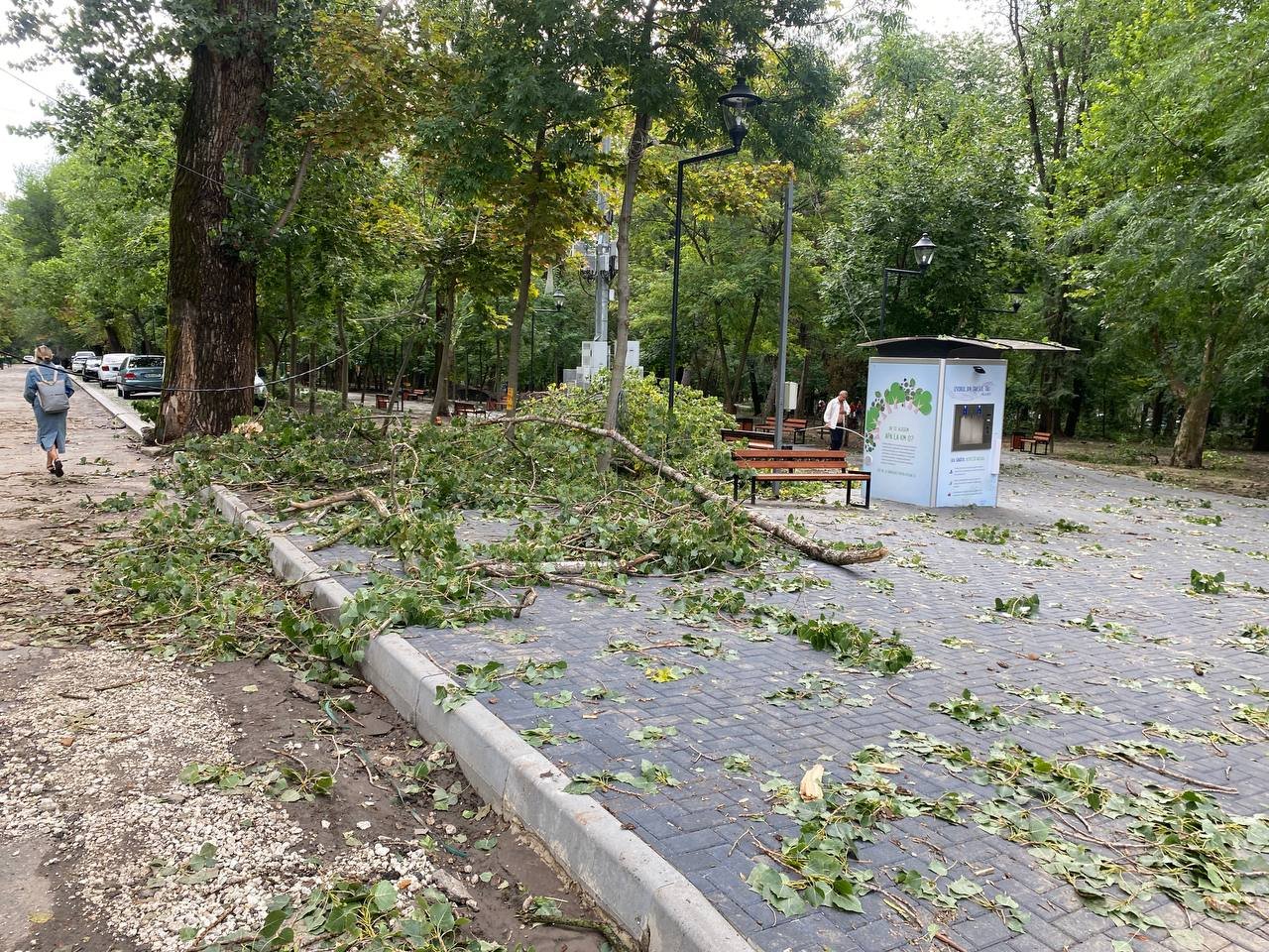 (ФОТО, ВИДЕО) Поврежденные провода, крыши, деревья. В Молдове из-за непогоды 18 населенных пунктов остались без электричества