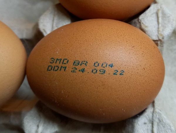 (ФОТО) Осторожно, сальмонелла. В Молдове из продажи изымают партию куриных яиц