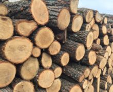 Министерство окружающей среды выделит 64,25 млн леев, чтобы предотвратить рост цен на дрова