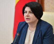 Гаврилица прокомментировала запрет на экспорт в Россию овощей и фруктов из 31 района Молдовы