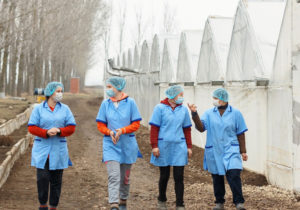 В Молдове стартовал проект трудовой интеграции украинских беженцев