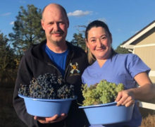 Семья из Молдовы высадила виноградник в США. Его могут признать самым высокогорным в Северном полушарии