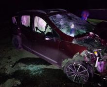 В Дрокии пьяный водитель врезался в припаркованные машины, сбив девять человек