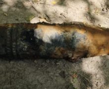 (ФОТО) На берегу Прута обнаружили снаряд времен Второй мировой войны