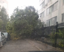 (ВИДЕО) Дождь затопил улицы Кишинева
