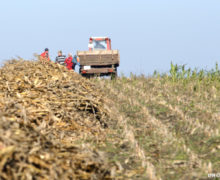 Datorii de circa un miliard de lei la subvențiile pentru agricultori, în 2022