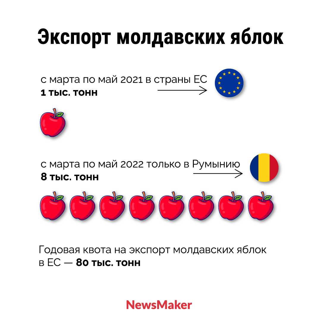 России ищут замену. Что Молдова будет делать со своими яблоками