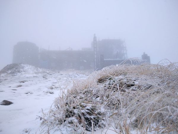 (ФОТО) В Украине выпал первый снег