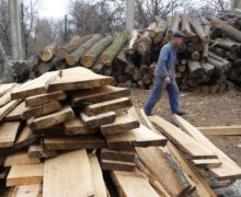 В Молдове напали на работника лесничества. Гаврилица поручила МВД расследовать дело