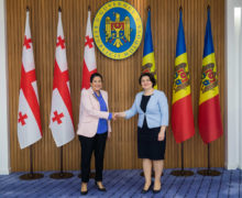 Гаврилица обсудила с президентом Грузии организацию бизнес-форума