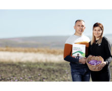 Cel mai scump condiment din lume, cultivat în Moldova. Istoria cu aromă de șofran a agricultorului Alexandru Druguș, client Microinvest