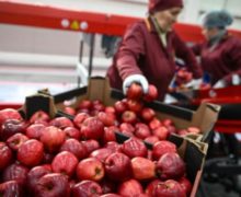 Piața rusească nu-i mai interesează pe producătorii moldoveni? Exporturile în Rusia au scăzut cu peste 30% timp de un an