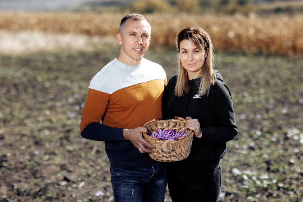 Самую дорогую пряность в мире выращивают в Молдове. История со вкусом шафрана от фермера Александру Другуша, клиента Microinvest