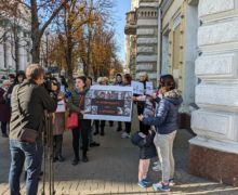 Зоозащитники провели протест перед мэрией Кишинева. Чего они требуют?