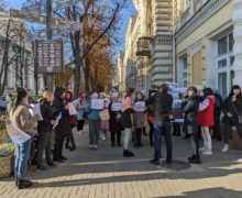 Activiștii pentru drepturile animalelor au protestat în fața Primăriei. Ce solicitări au