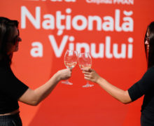 Muzică, olărit și expoziții. Aproape 100 de vinificatori vor participa în acest an la Ziua Națională a Vinului