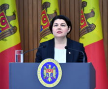 «Не время для поспешных решений». Гаврилица о том, почему Молдова остается в СНГ