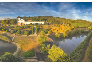 Вина Château Purcari удостоены высокой оценки авторитетного издания Decanter