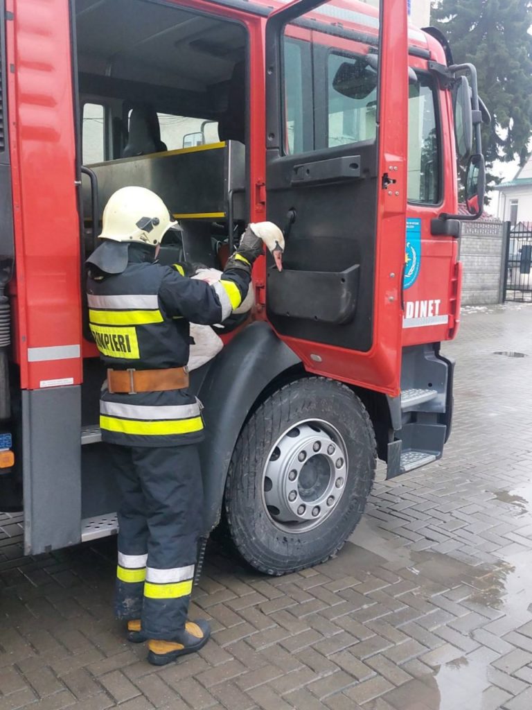 (FOTO) O lebădă a căzut într-un canal de evacuare a apei, la Edineț și și-a frânt o aripă