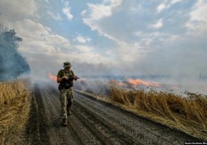 NASA: Россия собрала на оккупированных украинских территориях пшеницы на $1 млрд