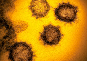 Pandemia COVID-19 s-a încheiat? Expert: „Este doar o boală endemică iar oamenii au imunitate”