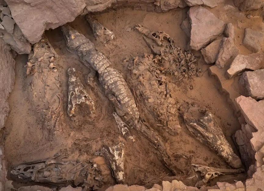 Маникюр повышает риск рака, в Египте нашли мумий-крокодилов, часы Судного дня приближаются к полуночи. Наука NM по воскресеньям