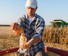 Fermierii s-au întâlnit cu Recean. Cer noului Executiv o lege prin care terenurile agricole nu pot fi vândute străinilor