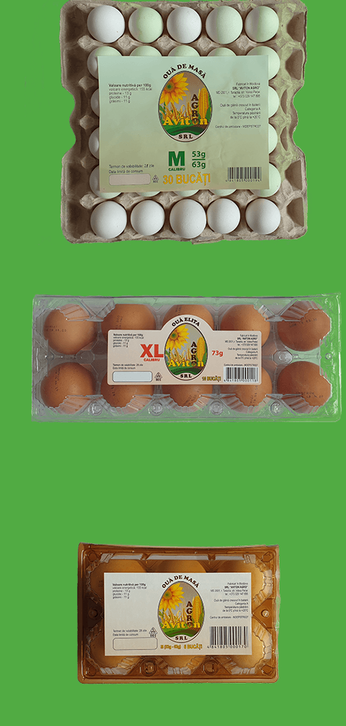 (ФОТО) В Молдове из продажи изымают партию яиц. В них может быть сальмонелла