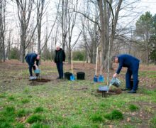 Igor Grosu și președintele Parlamentului Letoniei au plantat copaci la Grădina Botanică