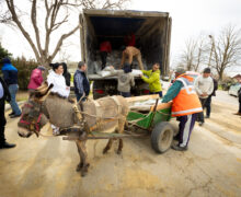 В Молдове почти 2 тыс. фермеров и семей в сельской местности получают по 350 кг корма для скота