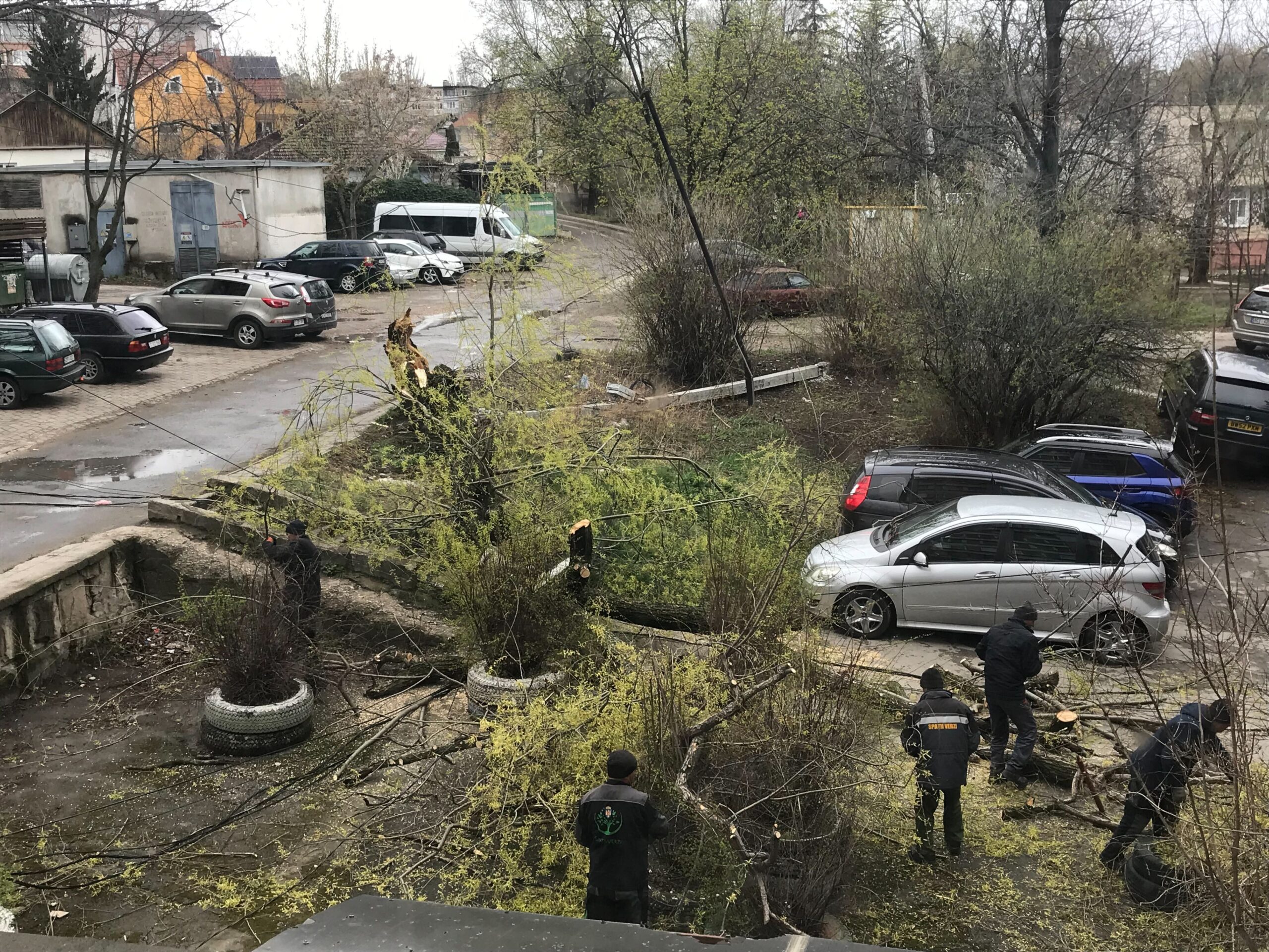 FOTO Rafalele de vânt creează pagube în Moldova: mașini distruse de copaci, fire electrice avariate și trasee blocate