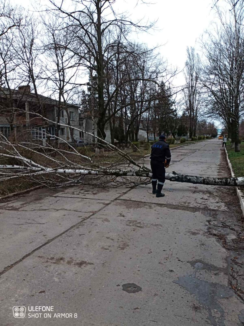 (ФОТО) Как сильный ветер валит деревья и срывает крыши домов в Молдове