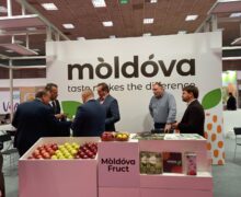 Производители из Молдовы представили свои фрукты на международной выставке в Салониках